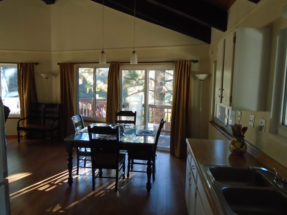 Kitchen and dining, looking out to the trees