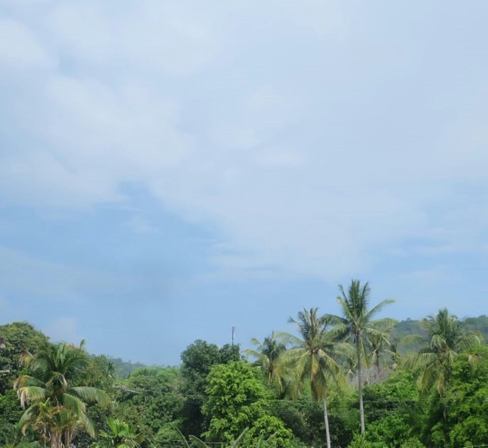Room 5, view from terrace.