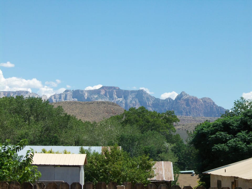 Zion Views