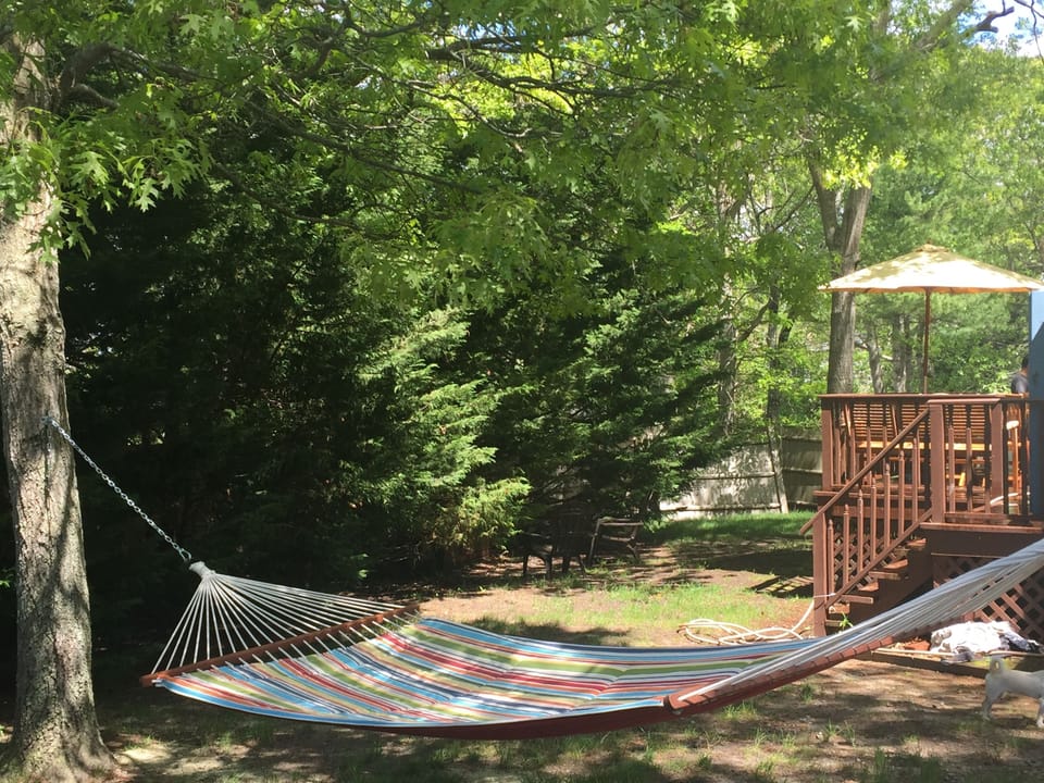 Maybe take a nap or read a book on the hammock