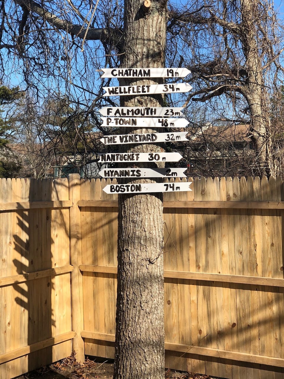 Backyard fun signage
