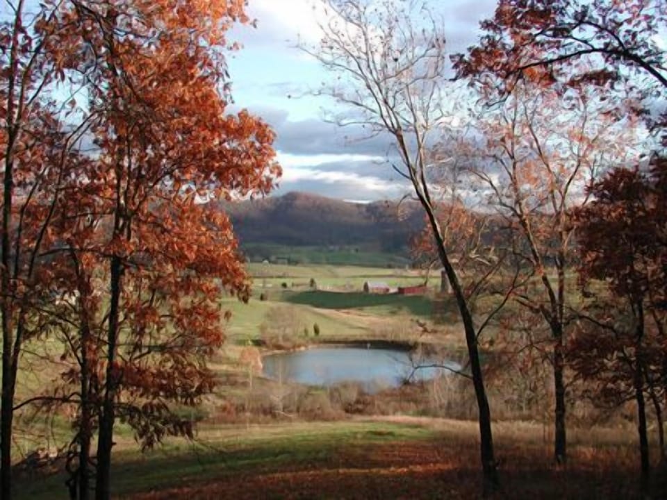 Our catch and release pond. Outside Spirit Dancer and now has pavilion for fun!