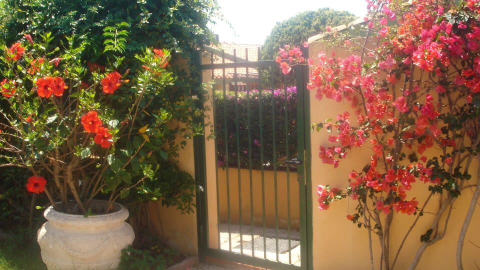 The front gate to our property.