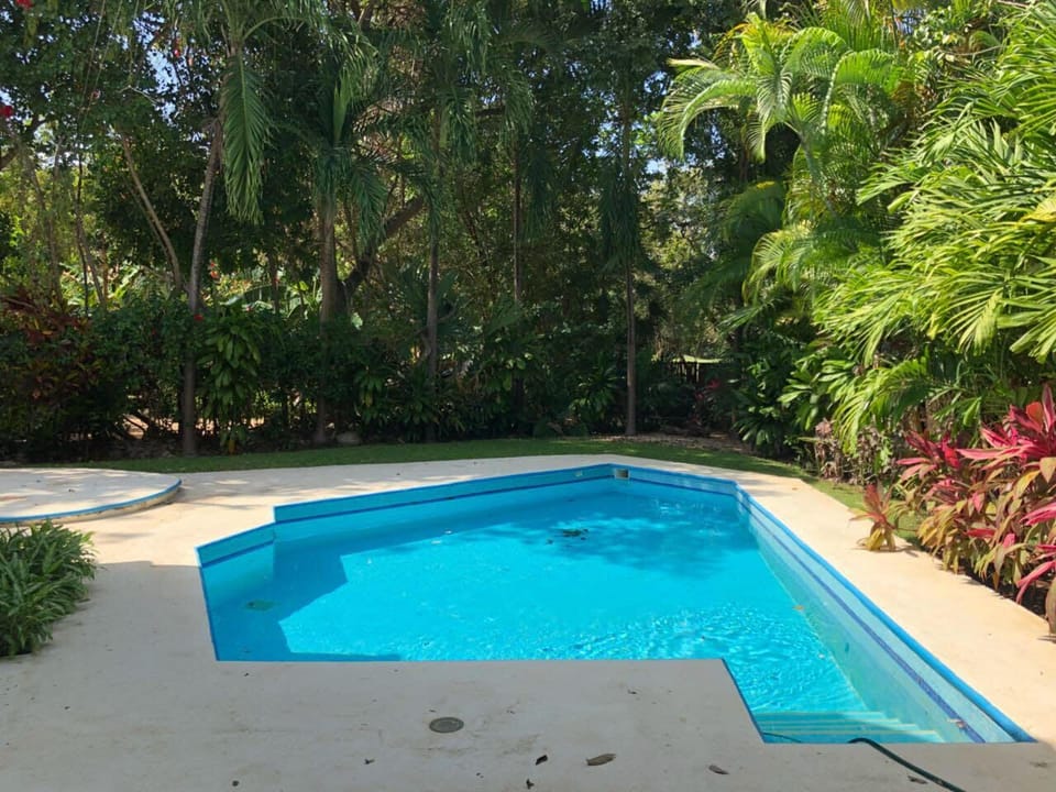 Private pool surrounded by tropical greenery. 