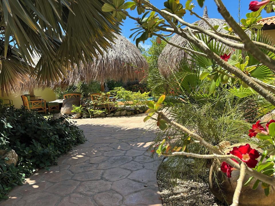 View of 3 palapas from front right side of property - Pic Date: March 2025
