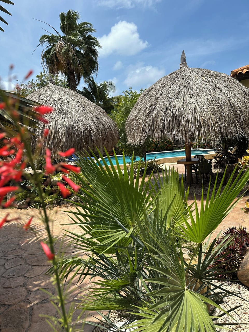 Pool & Palapas view from bedroom 3 - Pic Date: March 2025
