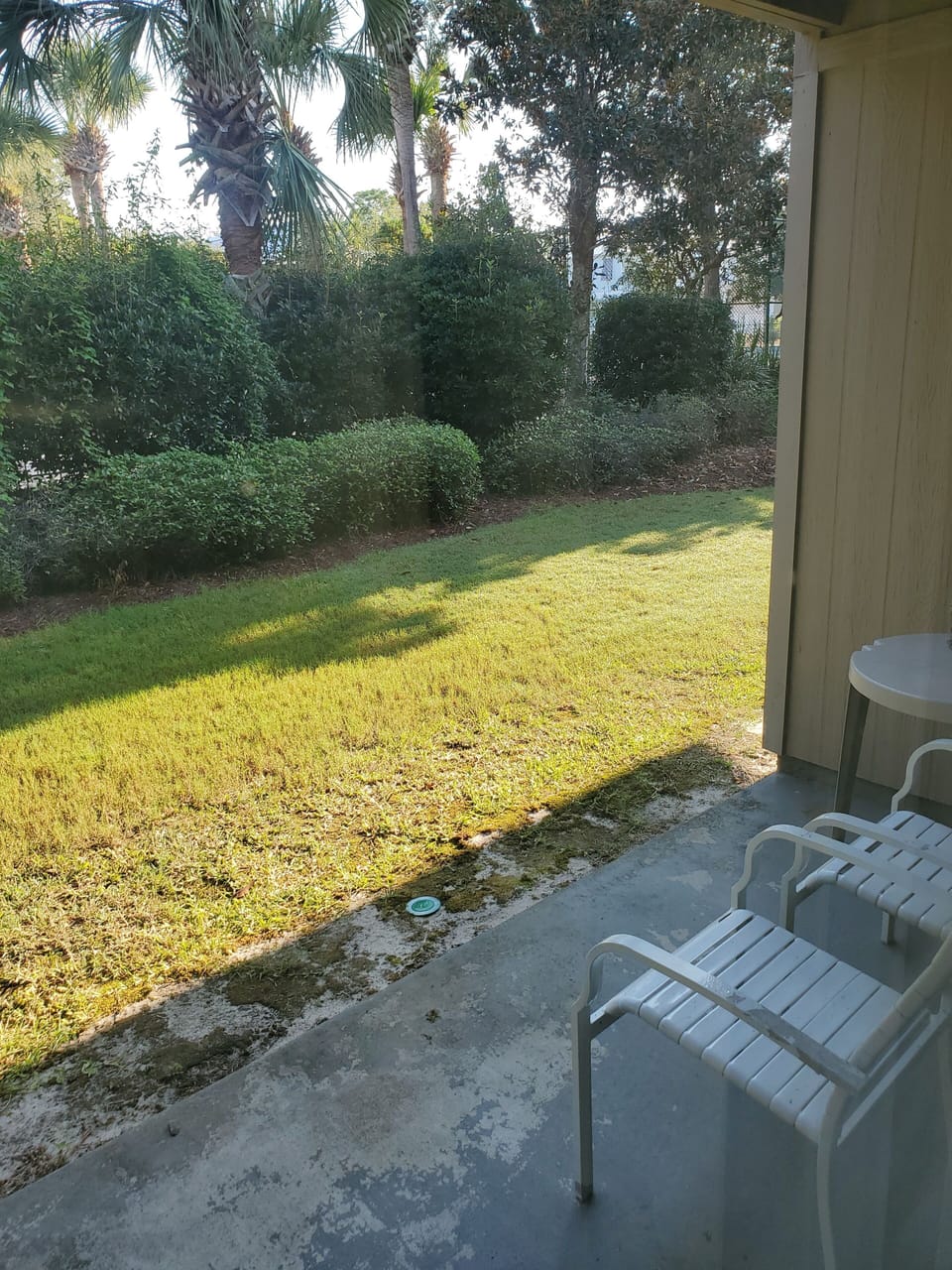 Back patio