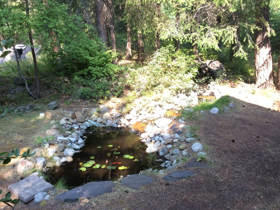 decorative pond in yard