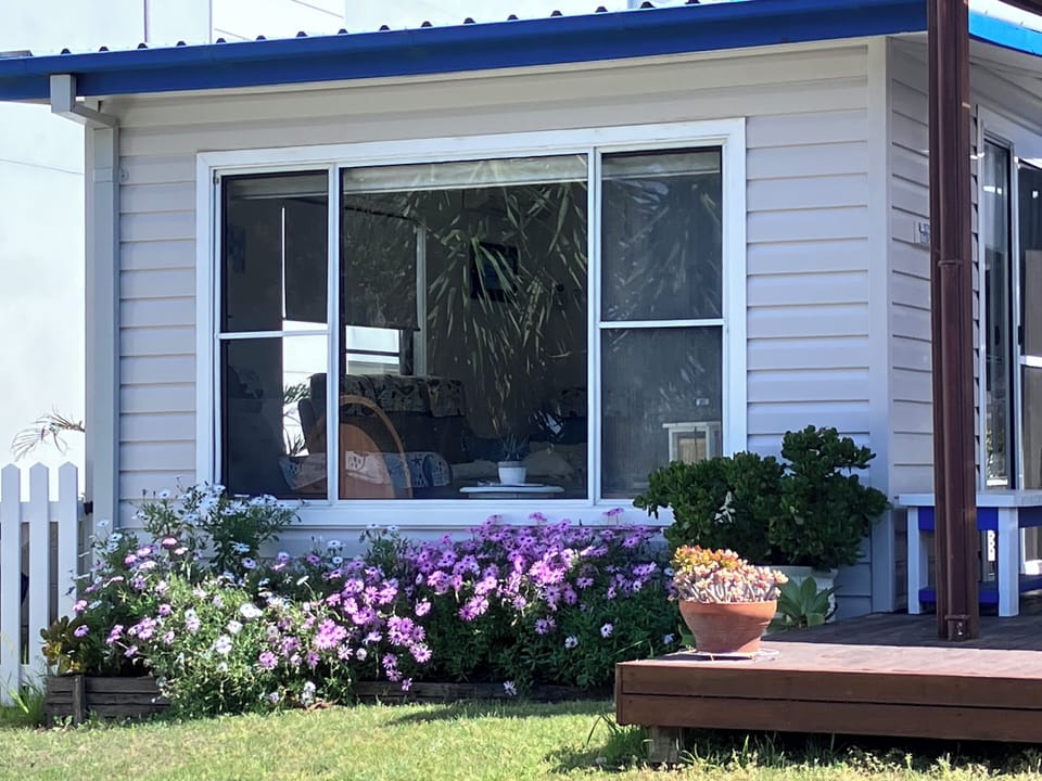 Back yard