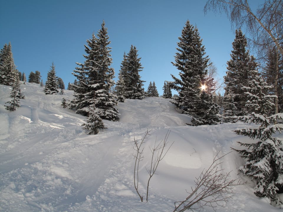 Snow and ski sports