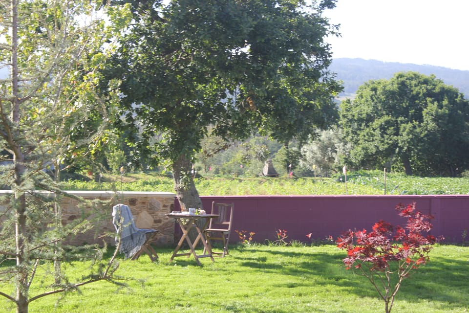 Garden with beautiful valley views