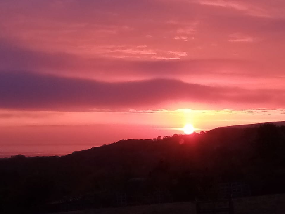 Morning Sunshine