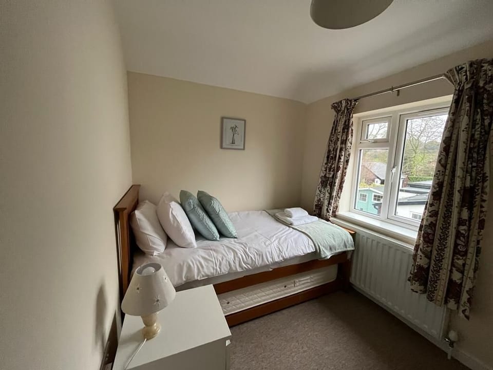 Single Bedroom with Pullout Bed