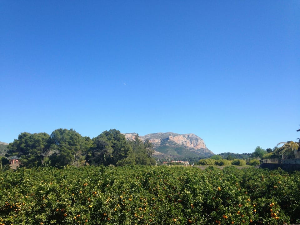 View of Montgo Mountain and Orange Trees - viewed from the villa's top terrace