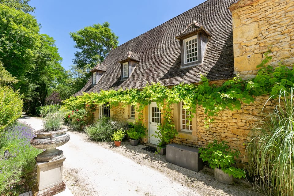 Grapevines in the summer at Maison Les Rosiers