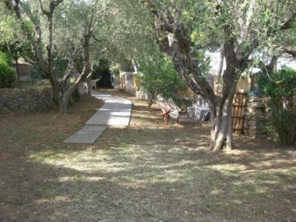 Garden, Park