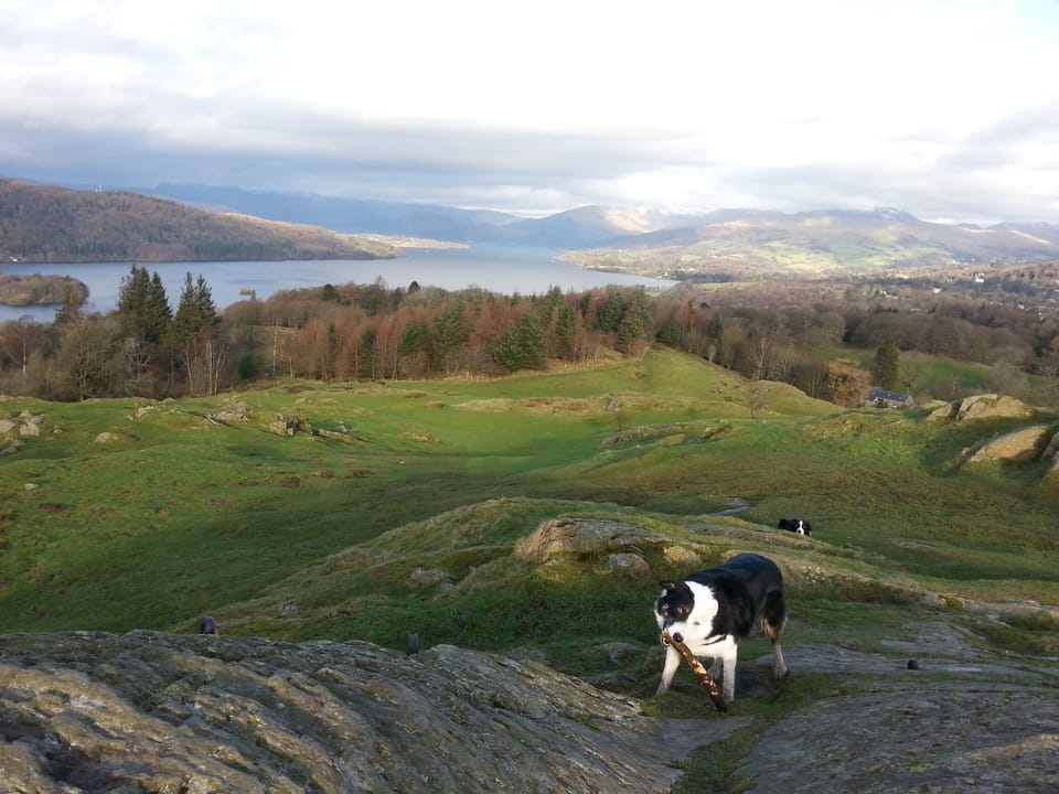 View from Brantfell
