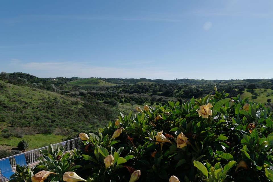 View south from top terrace.