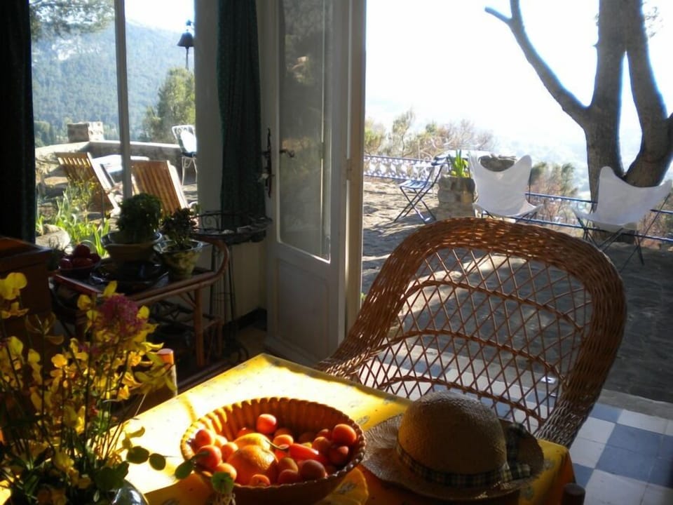 looking out from the kitchen