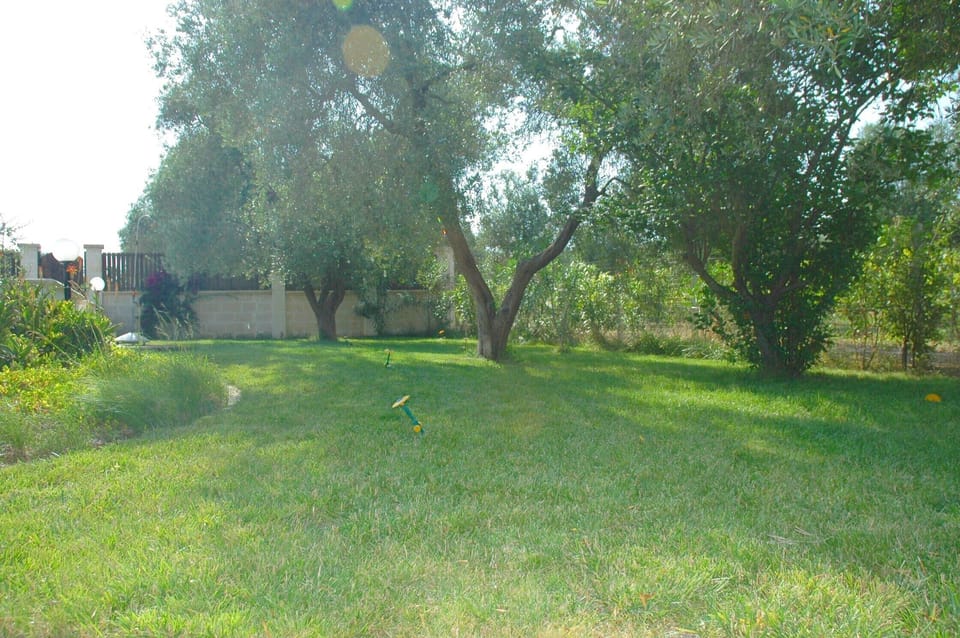 Lawn area by pool