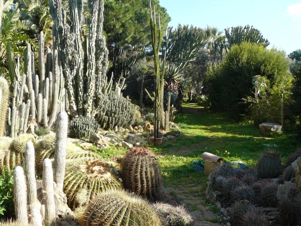 Garden, Park