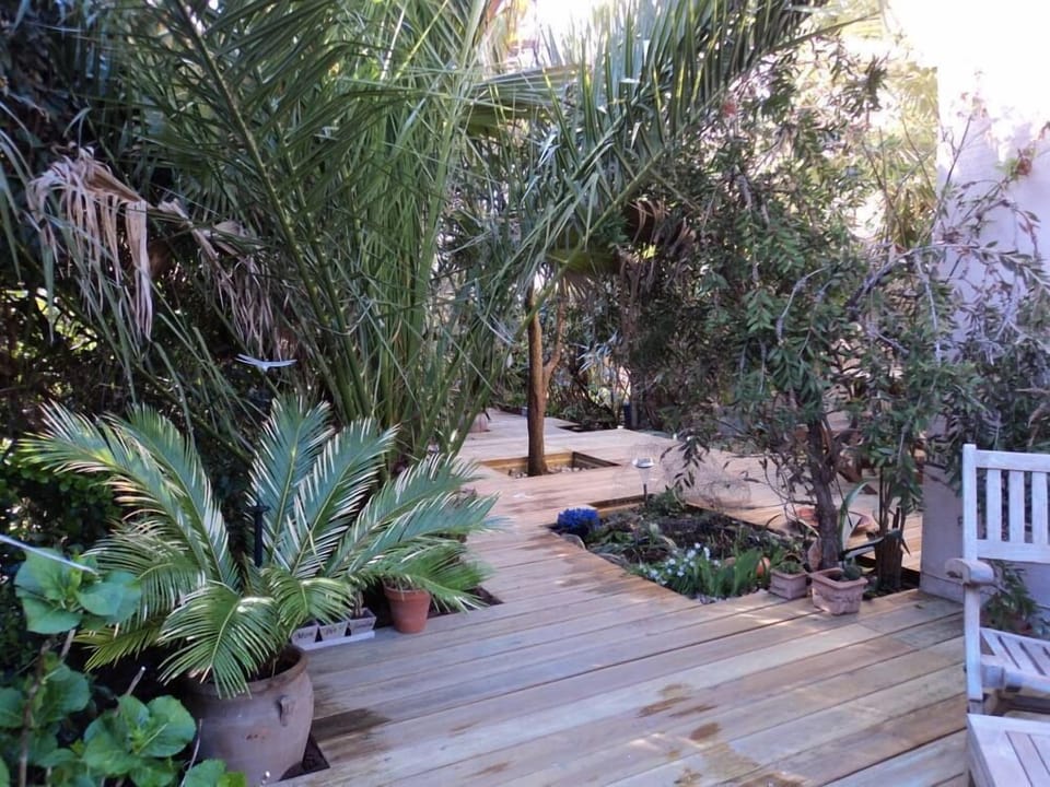 Garden, Park