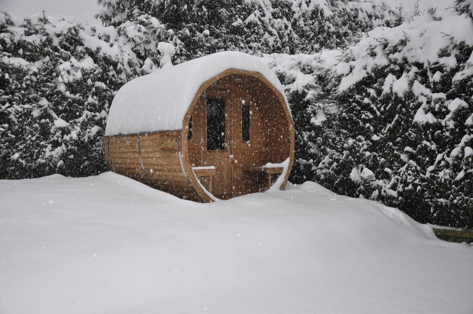 WOOD BURNING BARREL SAUNA