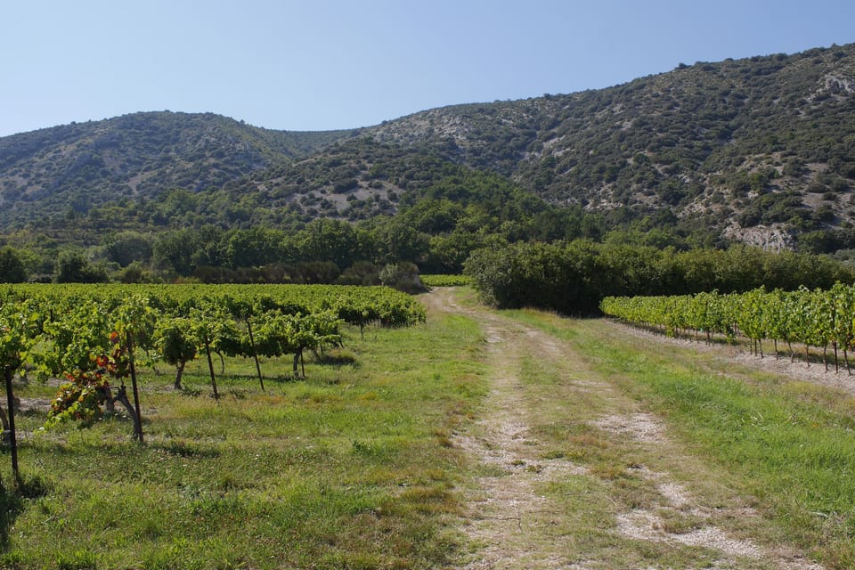 Direct access to nature walks and mountain biking