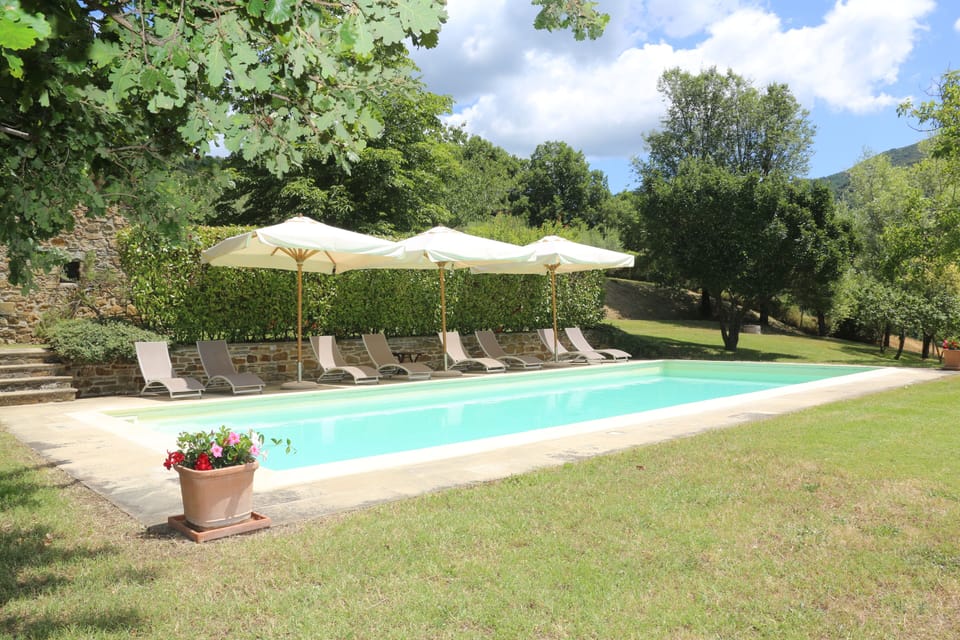 Pool facing south with 8 sun-lounges and ample shade