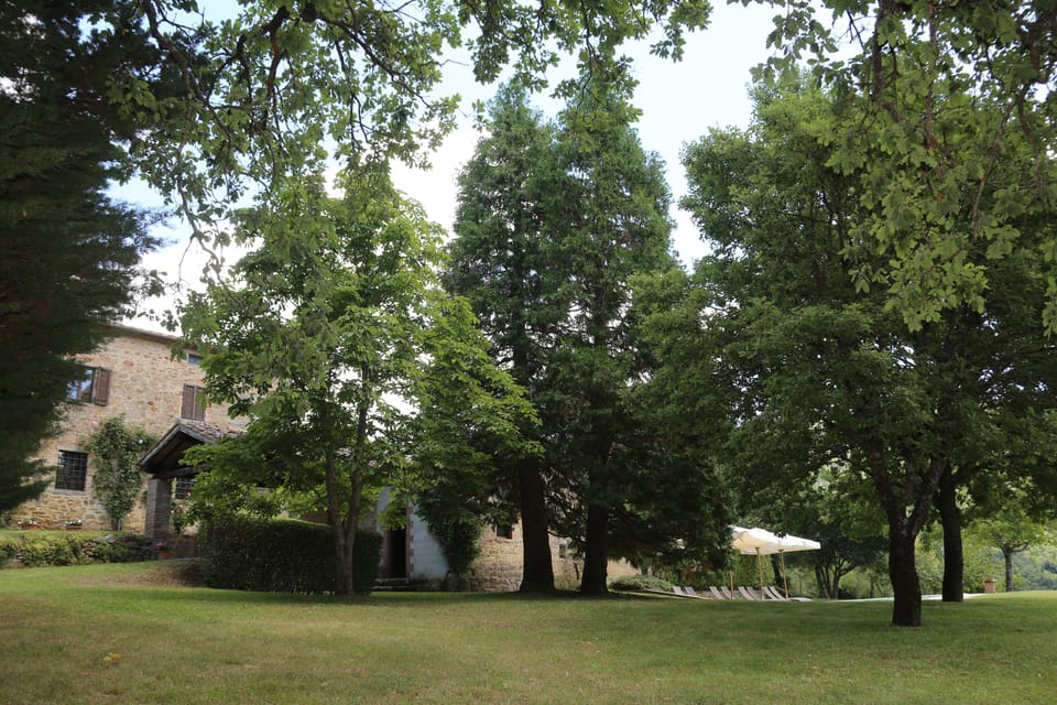 2 acres of trees, lawn and olive groves