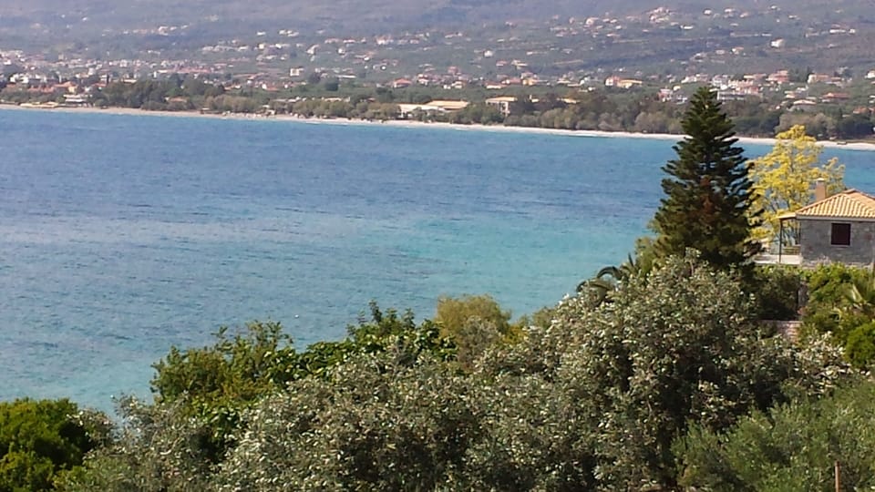 view from veranda

