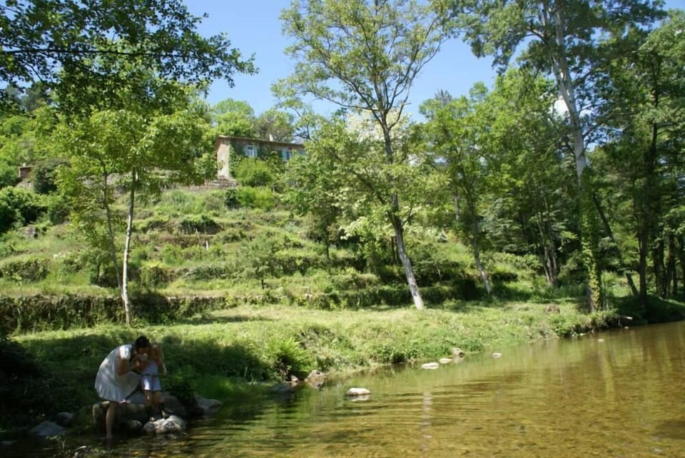 View from the river