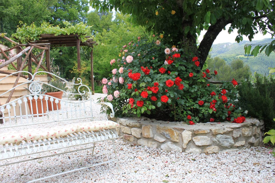 Private garden