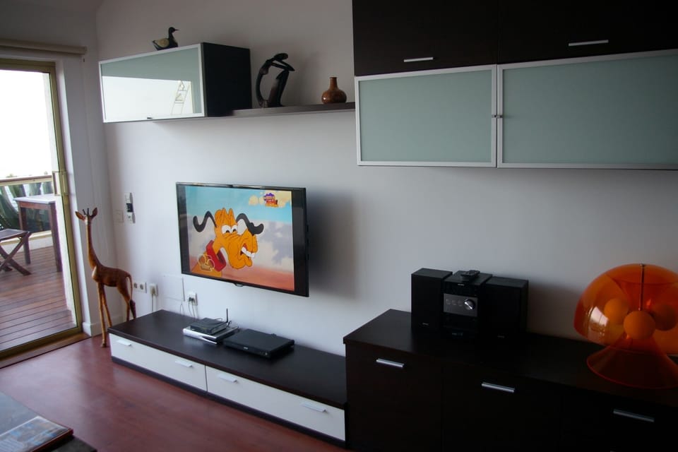 TV flat screen LED, internet wifi, DVD, stereo, etc.
