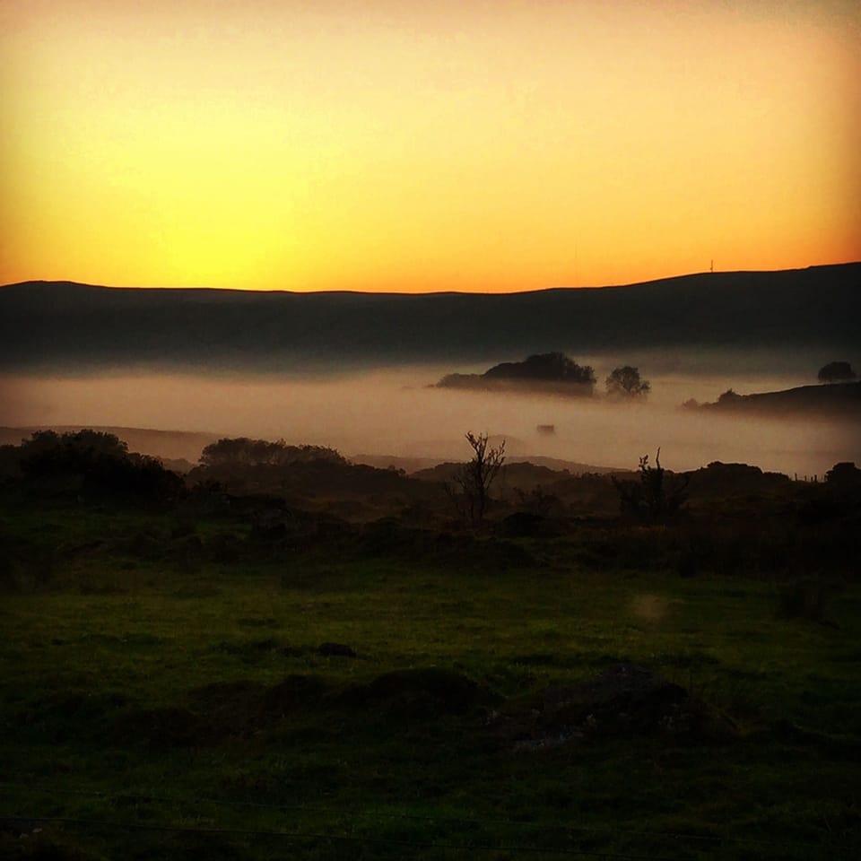 Misty mornings