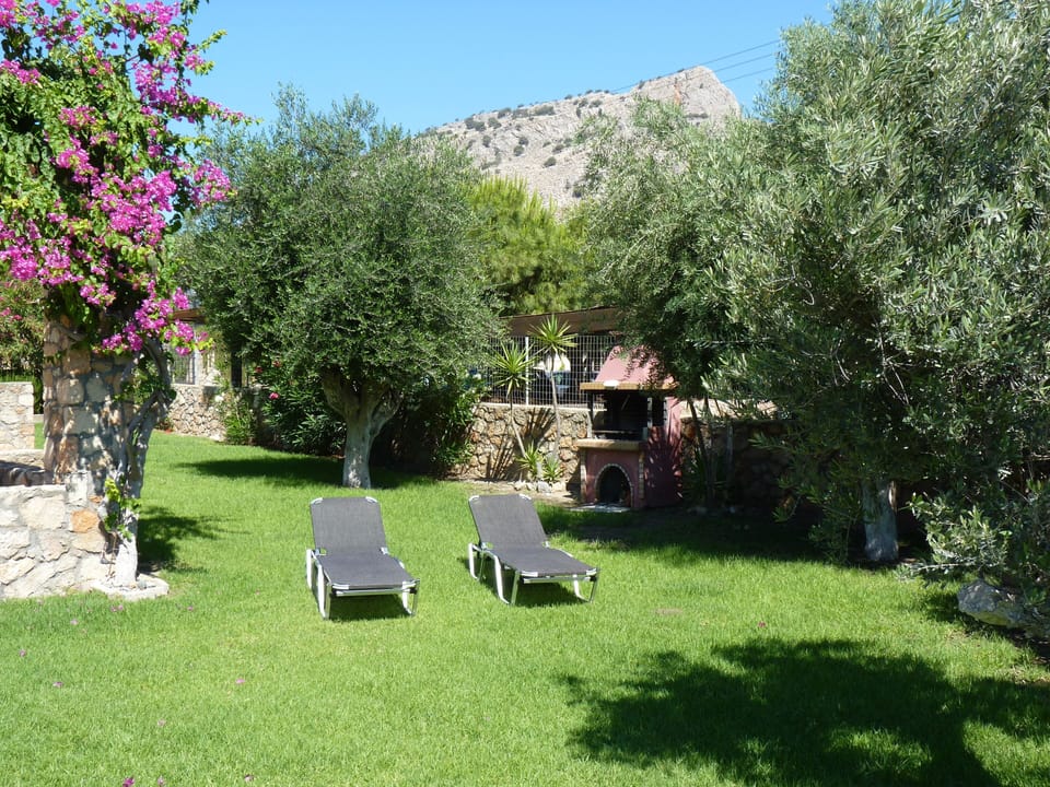 Large Lawned Garden with Olive trees for shade