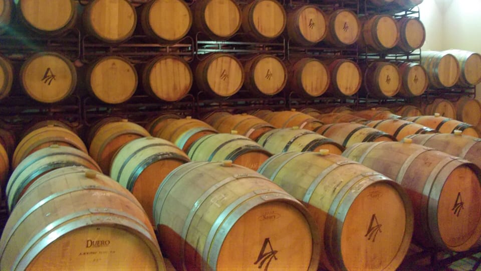 Sherry Barrels at the Bodega
