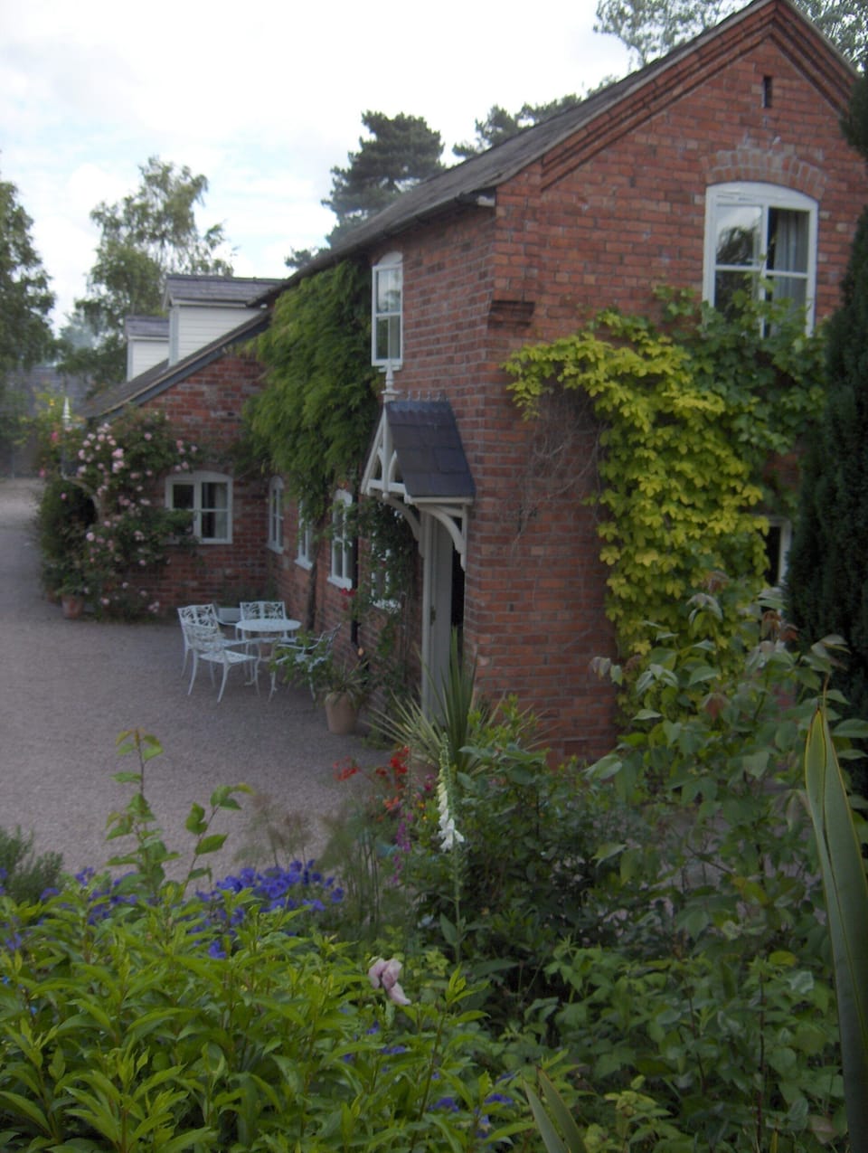 A side view of the cottage with of the cottages with a vine and hops growing.