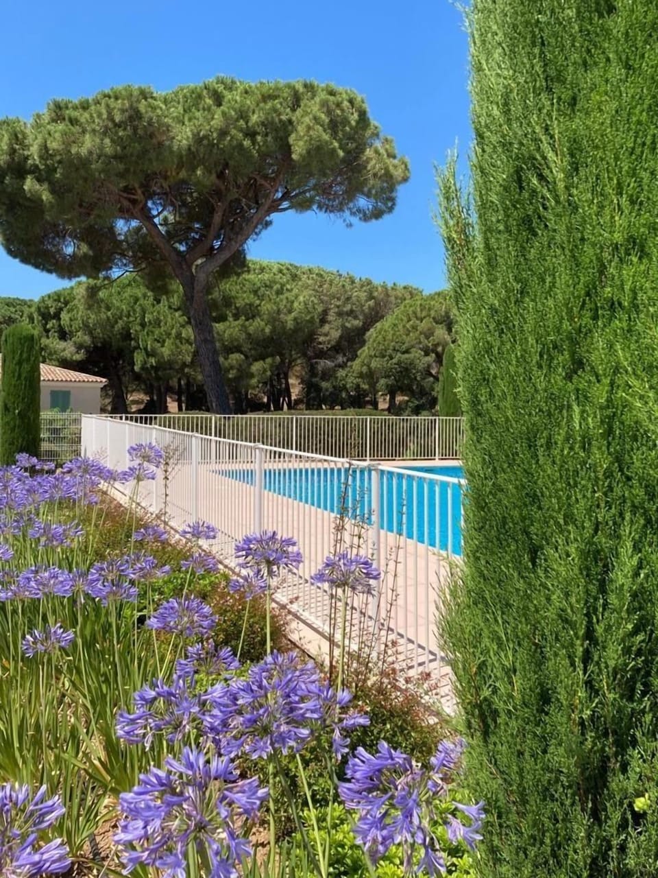 Swimming pool for residence guests only. Fully secured for young kids.