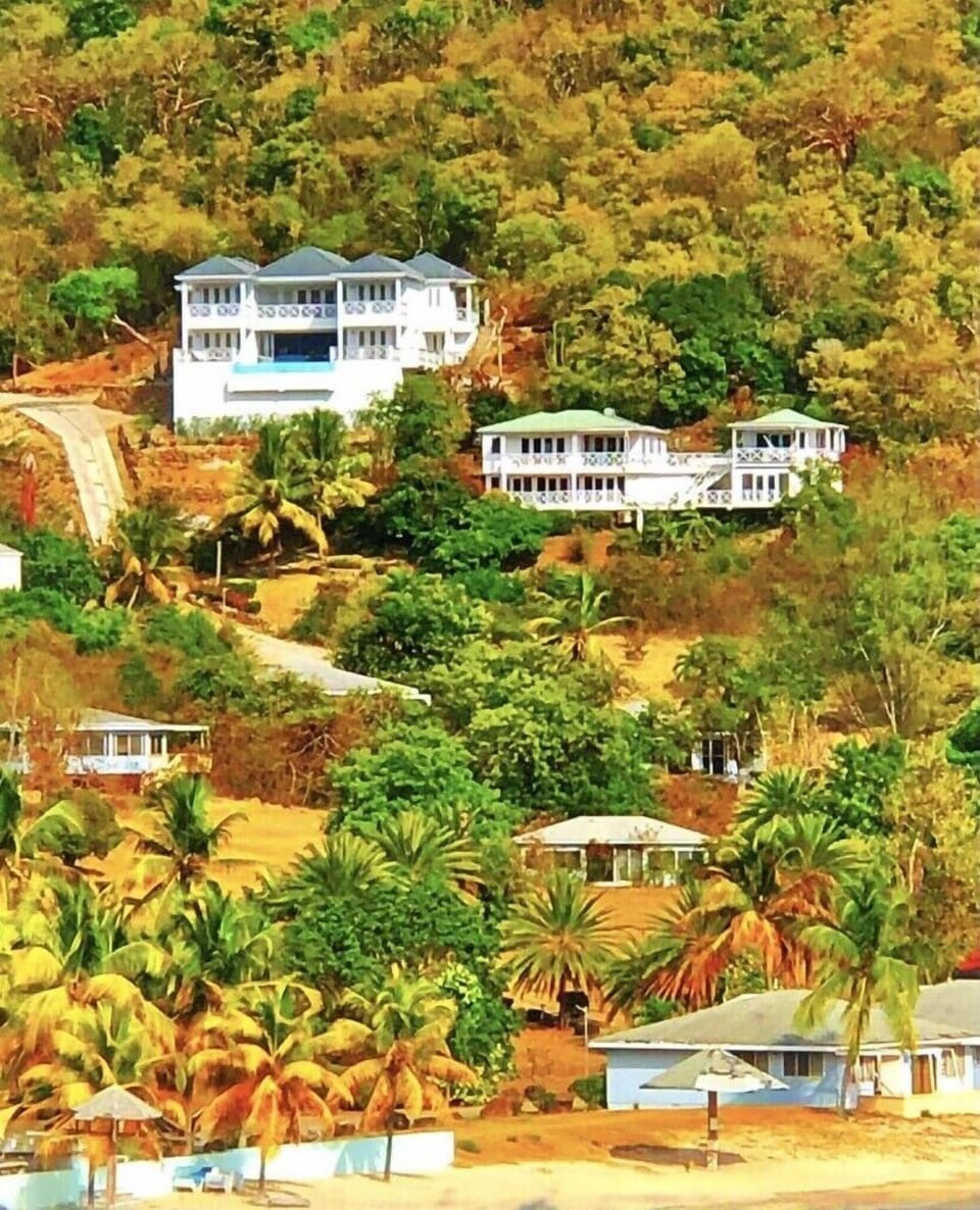 Reggae & Calypso Villas just above Galleon Beach