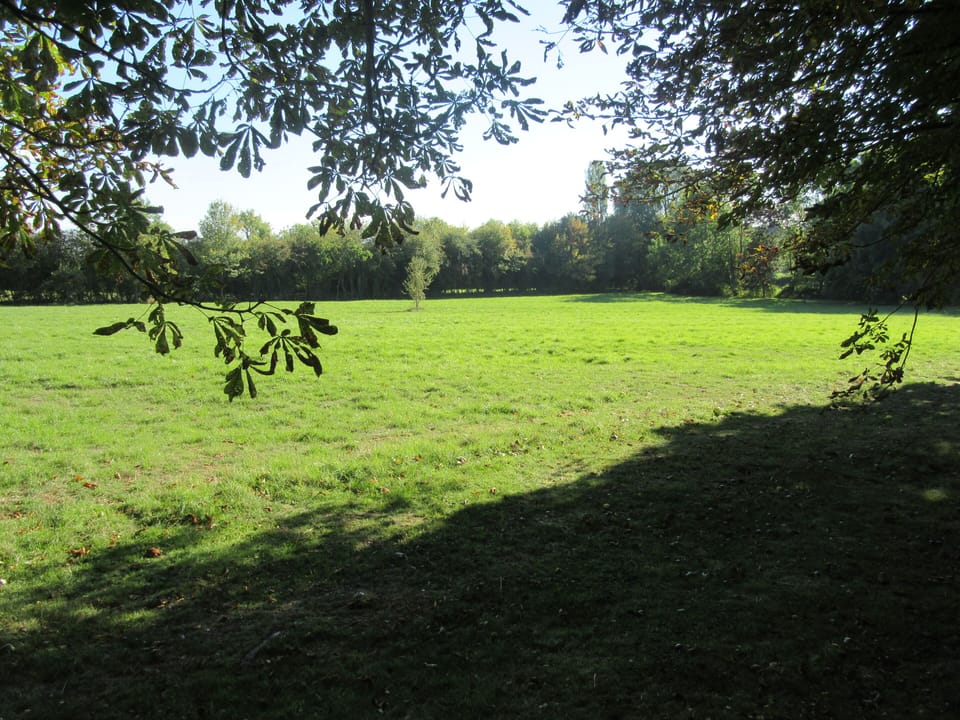 Field , part of the property.