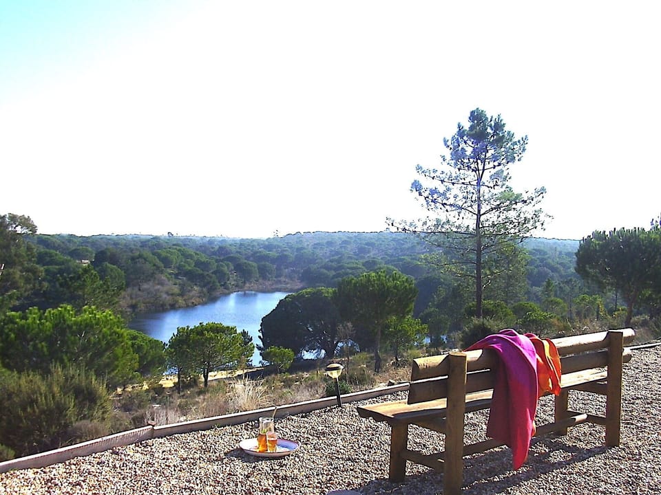 View from the pool 