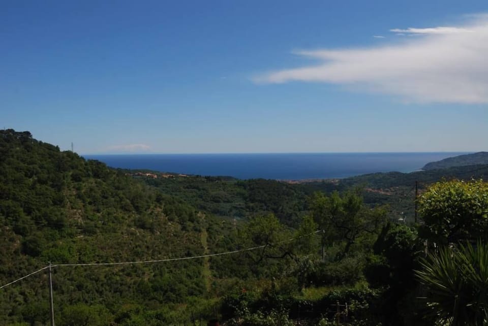 panorama from the terrace