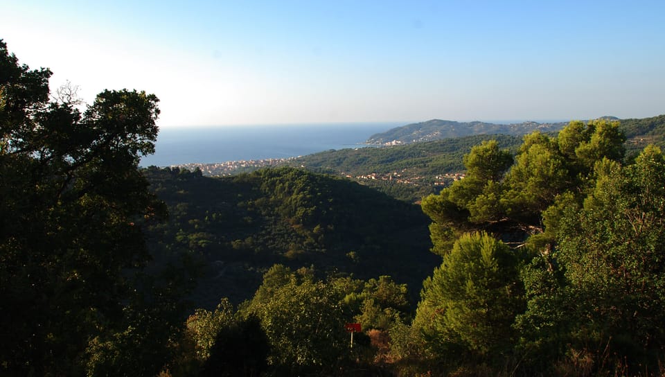 panorama