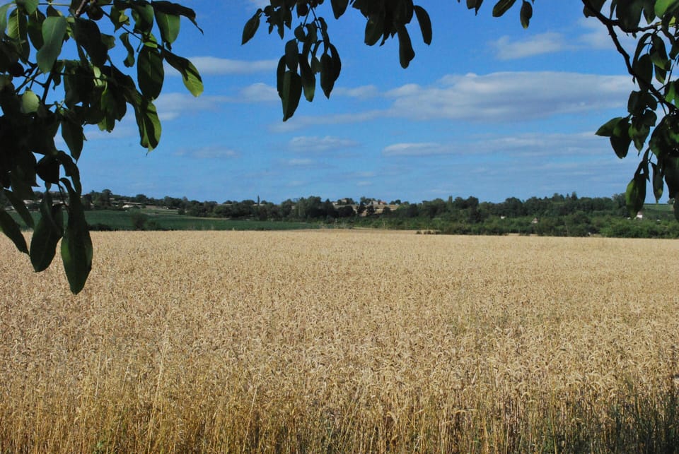 View north