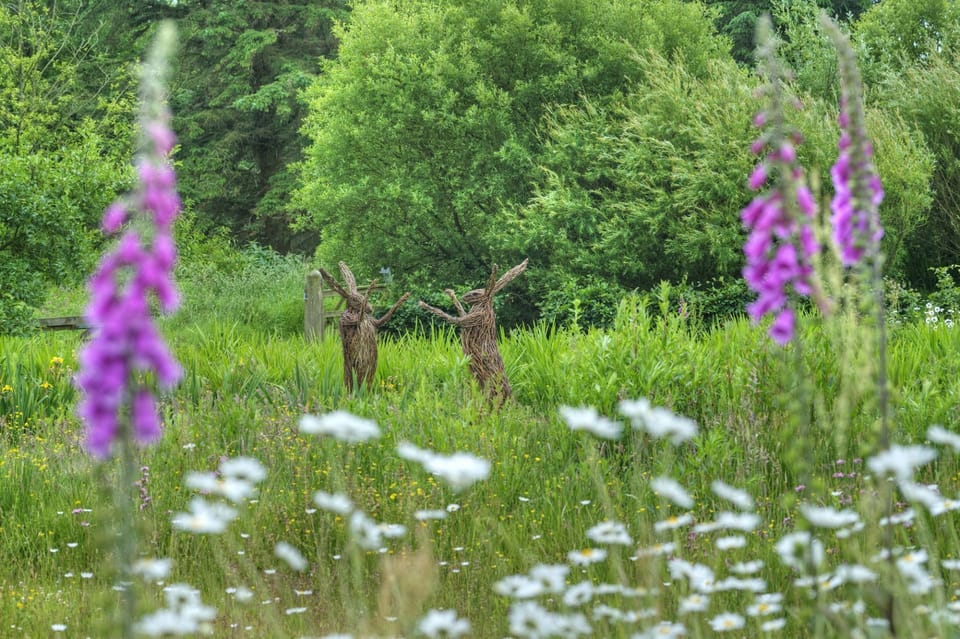 There's always something curious to discover as you explore Orroland