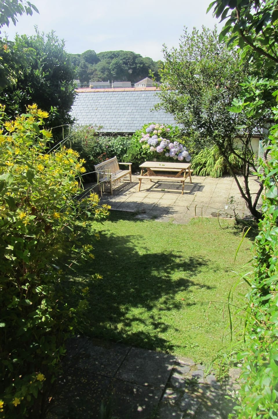 Newhaven back garden