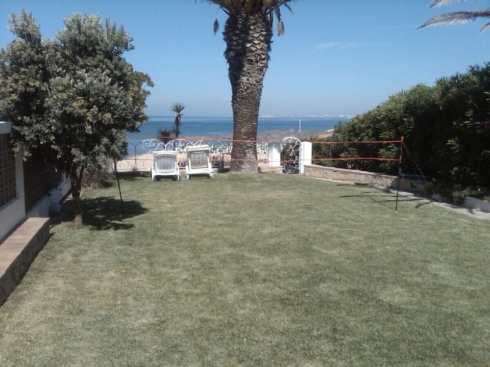 The Garden