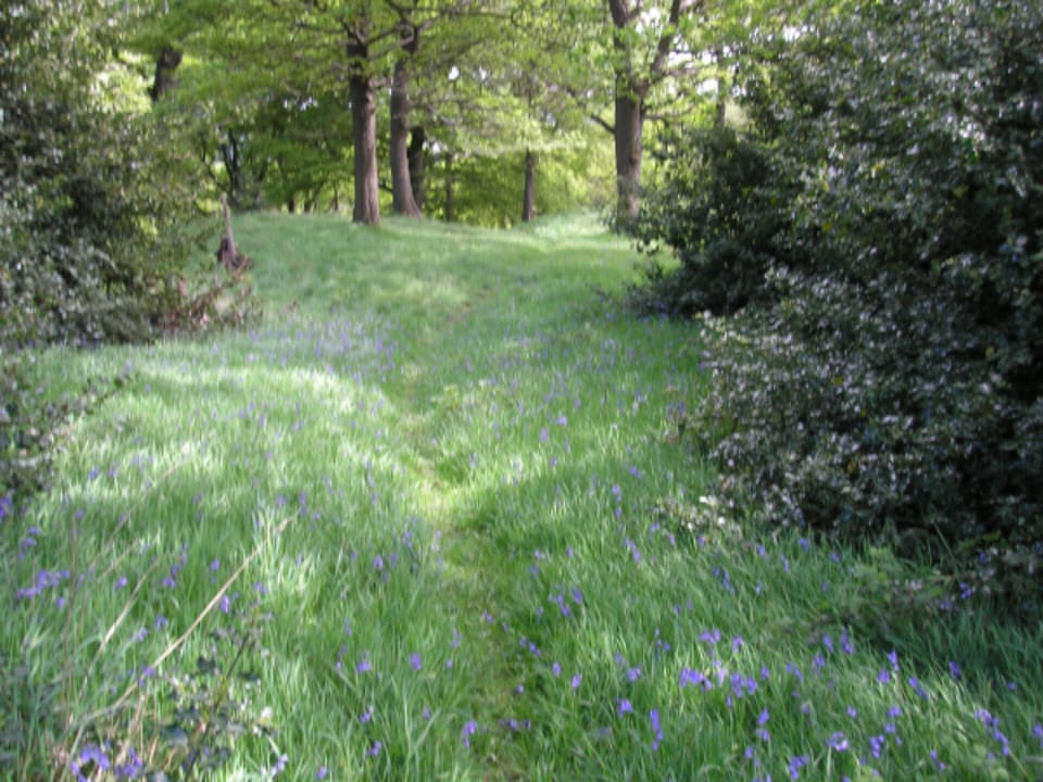 Local path near Castle House Farm 