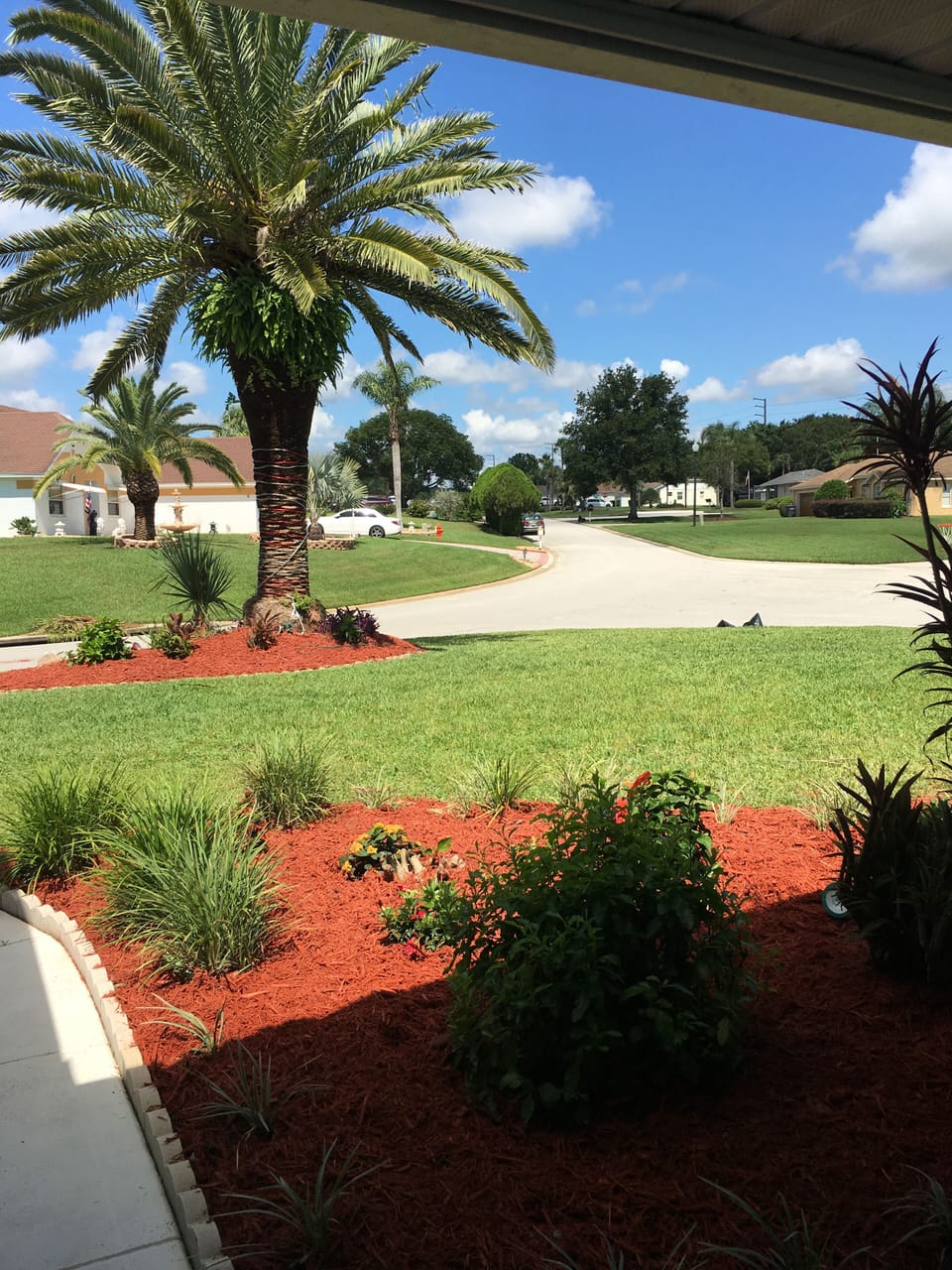 View from front porch